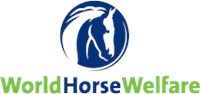 World Horse Welfare